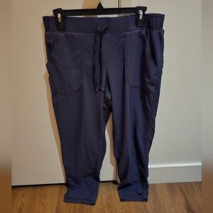 All In Motion Indigo Color Athletic Outdoor Thin Layer Pants